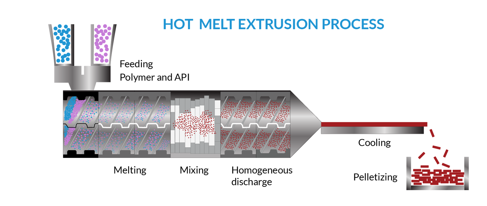 Hot Melt Extrusion Process In Pharma Drug Formulation | My XXX Hot Girl